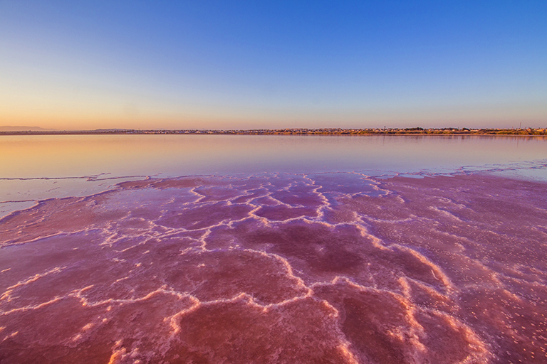 Concentración de sal en la orilla de la laguna de Torrevieja.